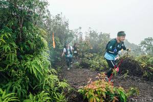 BIB: 
                            <button type="button" onclick="openModal(26272468)" class="btn btn-primary btn-sm float-right btn-popup" data-toggle="modal" data-target=".modal-high-quality">
                        <i class="fas fa-shopping-cart"></i> Add to Cart
                    </button>
                                            <button type="button" onclick="isThisMe(26272468, true)" class="btn btn-success btn-sm float-right btn-popup btn-isme hidden" data-toggle="tooltip" data-placement="bottom" title="นี่คือรูปของคุณใช่ไหม คลิกที่นี่เพื่อเอาเข้าอัลบั้ม">
                        <i class="fas fa-plus"></i> Add to album
                    </button>
                    <button type="button" onclick="isThisMe(26272468, false)" class="btn btn-warning btn-sm float-right btn-popup btn-isnotme hidden">
                        <i class="fas fa-ban"></i> Remove from album
                    </button>